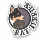 Suche nach weiße ratten autoaufkleber Hund