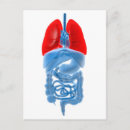 Suche nach lungen postkarten Gesundheit