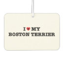 Suche nach boston wohnen zuhause Hunde