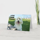 Suche nach männlich weiblich karten Für sie