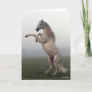 Suche nach lusitano karten Bob sprache