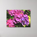 Suche nach hydrangeas leinwandbilder Lila