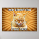 Suche nach zen katze poster Lustig