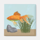 Suche nach aquarium magnete Orange