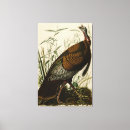 Suche nach schnabel leinwandbilder Vögel