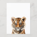 Suche nach baby tiger postkarten Dschungel