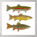 Suche nach trolls poster Fisch