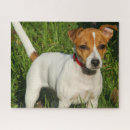 Suche nach jack russell terrier puzzle Tier