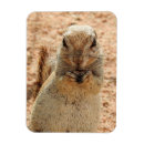 Suche nach marmelade magnete Sandsand