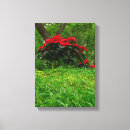 Suche nach poinsettia leinwandbilder Jede person