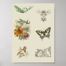 Suche nach scrapbooking poster Blume