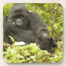 Suche nach gorilla untersetzer Tierwelt