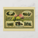 Suche nach edinburgh postkarten Alt