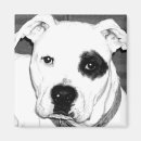Suche nach blaues auge magnete Hunde