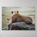 Suche nach savannen poster Natur