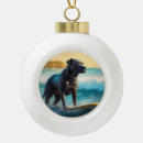 Suche nach cane corso haustier wohnen zuhause Jede person