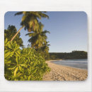 Suche nach seychellen mousepads Blauer himmel