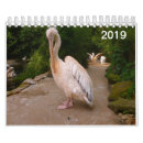 Suche nach pfauen kalender Pelikane
