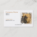Suche nach im gesicht visitenkarten Hund