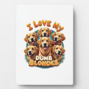 Suche nach golden retriever fotoplatten Welpe