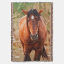 Suche nach mustang decken Pferd