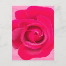 Suche nach romantische rote rosen postkarten Für sie