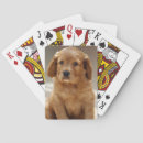 Suche nach puppy spielkarten Bezaubernd