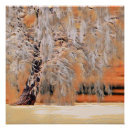 Suche nach winterlandschaft poster Bäume
