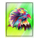 Suche nach bunter adler poster Tier