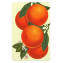 Suche nach orange retro magnete Jede person