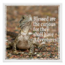 Suche nach merkwürdige poster Natur