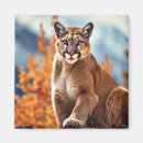 Suche nach puma magnete Tier
