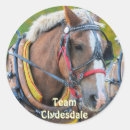 Suche nach clydesdale Western
