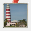 Suche nach insel der palmen ornamente Baum