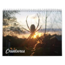 Suche nach marienkäfer kalender Schmetterling
