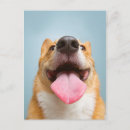 Suche nach corgi postkarten Lustig