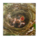 Suche nach vogelliebhaber fliesen Vögel