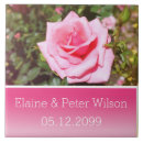 Suche nach daten fliesen Rose