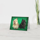 Suche nach lustiges st patricks day karten Irisch