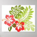 Suche nach hawaii blumen poster Hibiskus