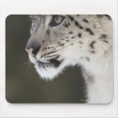 Suche nach konzentration mousepads Betrachtung