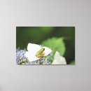 Suche nach frösche leinwandbilder Natur