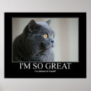 Suche nach niedliche redewendungen poster Katze