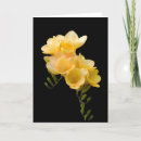 Suche nach freesia karten Blume