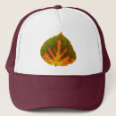 Suche nach orange blatt kappen Natur