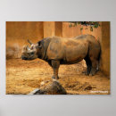 Suche nach nashorn poster Natur