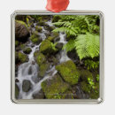 Suche nach winkel ornamente Ansicht