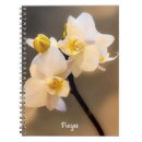 Suche nach weich fotodruck Blume