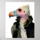 Suche nach geier poster Vögel