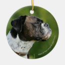 Suche nach pam wohnen zuhause Hund